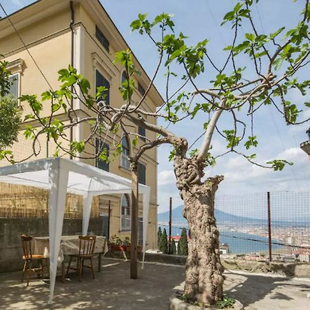Bed and Breakfast Domus Stabiae Castellammare di Stabia Zewnętrze zdjęcie